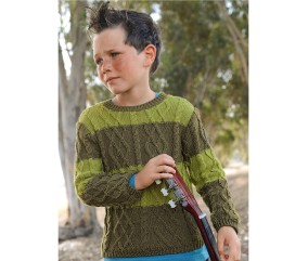 Patron tricot Pull ras de cou Igal - Bergère de France