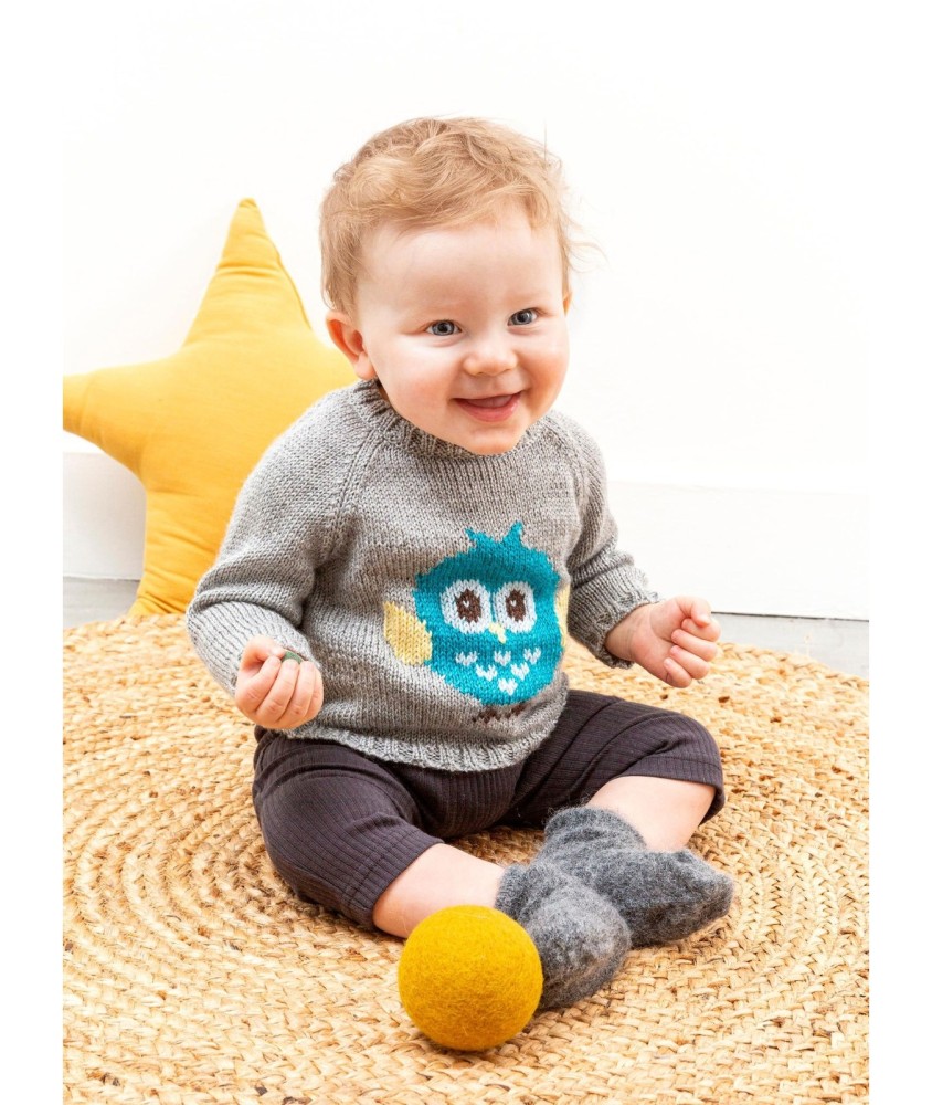 Patron tricot gratuit Pull jacquard oiseau Casper
