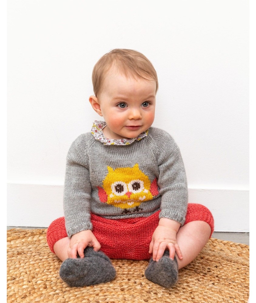 Patron tricot gratuit Pull jacquard oiseau Clotilde