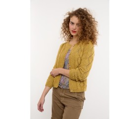 Patron tricot gratuit Gilet ajouré raglan Marie