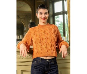 Patron tricot gratuit Pull à torsades Maëlis