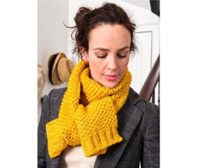 Patron tricot gratuit Echarpe adulte alvéolée Colette