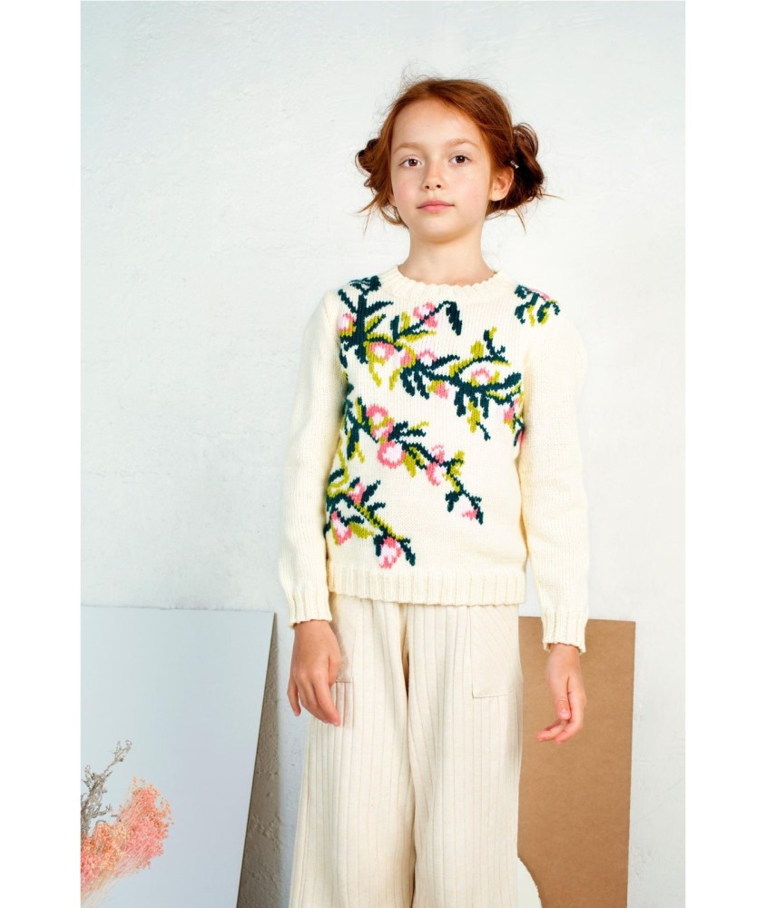 Patron tricot gratuit Pull broderie florale