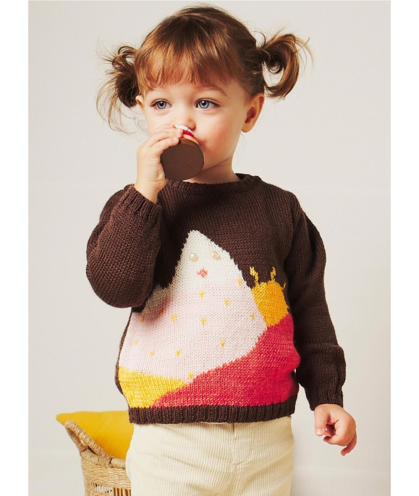 Patron tricot gratuit Pull jacquard montagne