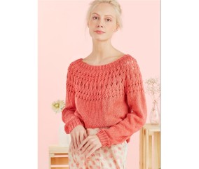 Patron tricot gratuit Pull empiècement ajouré