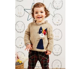 Patron tricot gratuit Pull motif placé chat