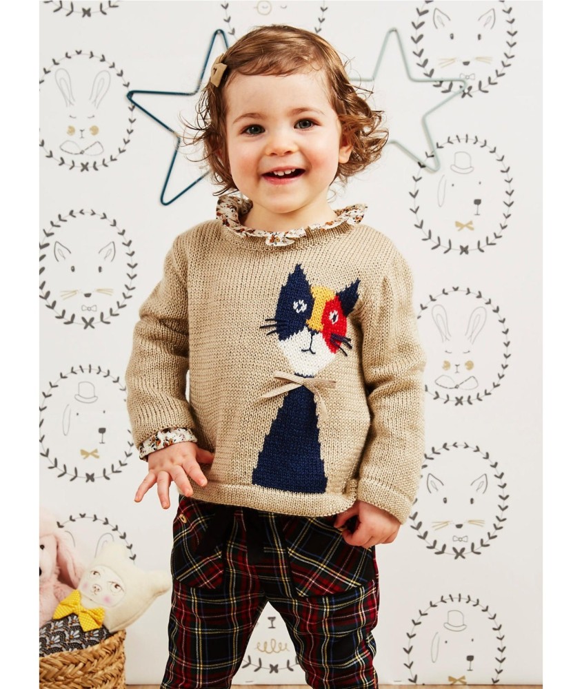 Patron tricot gratuit Pull motif placé chat