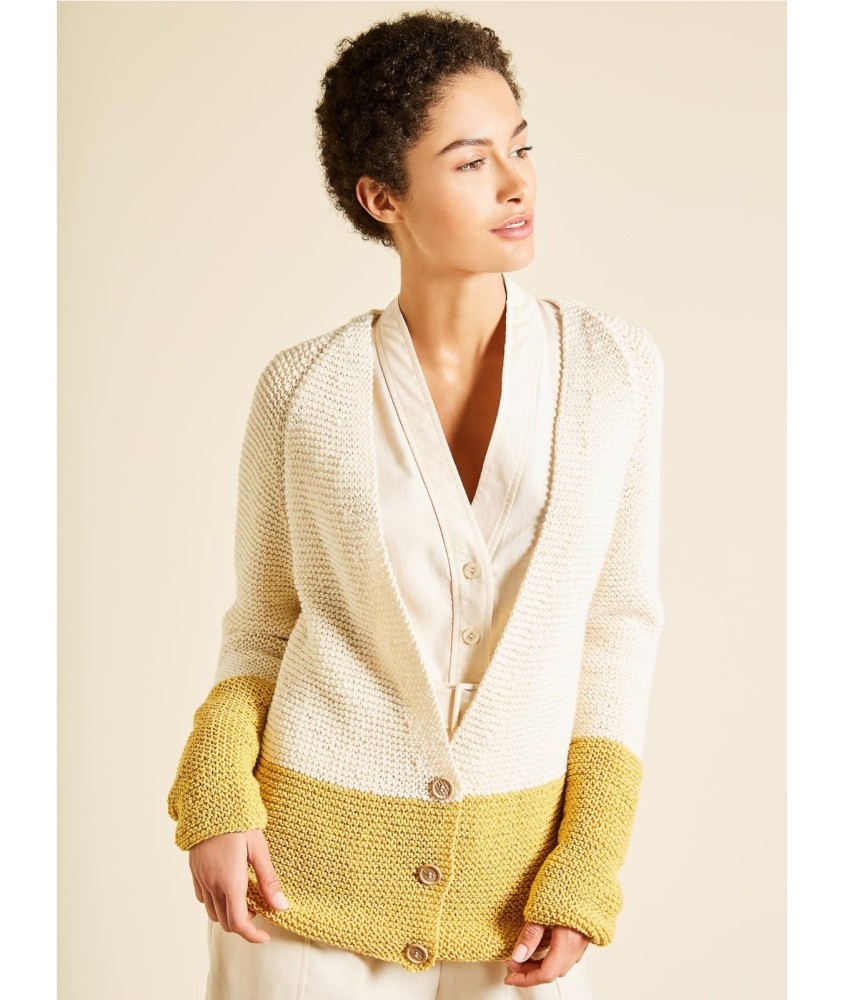 Patron tricot Gilet raglan col V - Bergère de France