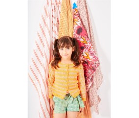 Patron tricot gratuit Gilet jacquard col rond