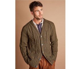 Patron tricot gratuit Gilet à torsades manches raglan