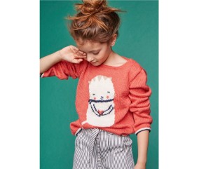 Patron tricot Pull à motif placé - Bergère de France