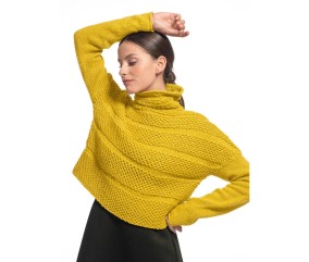 Patron tricot gratuit Pull col montant marina