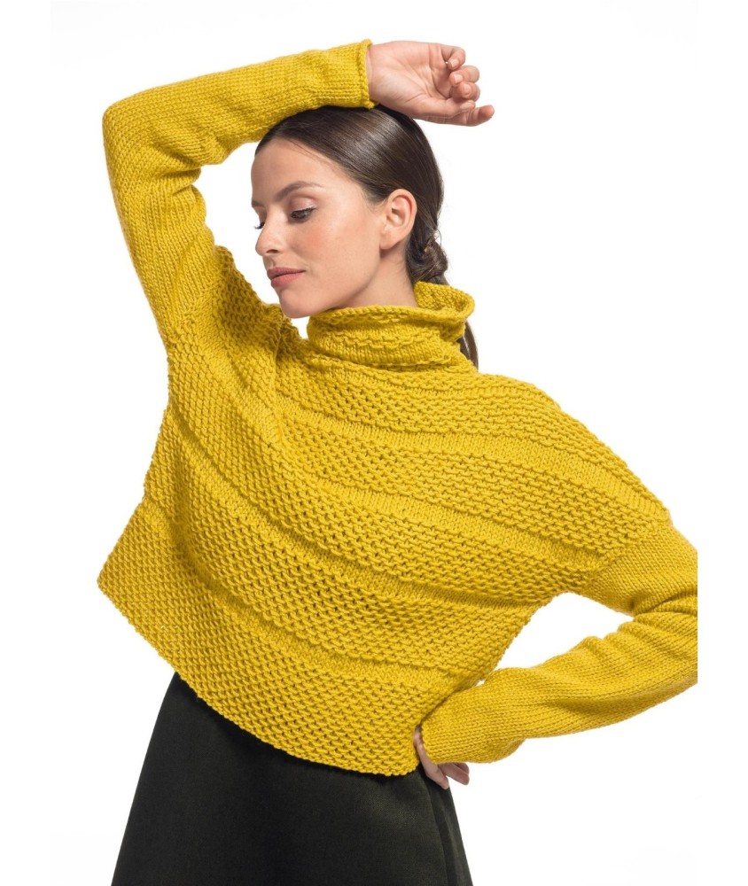 Patron tricot gratuit Pull col montant marina