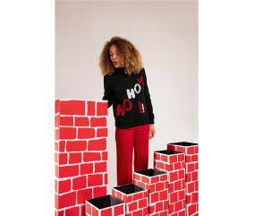 E-MODELE FEMME - PULL COL MONTANT - BERGÈRE DE FRANCE