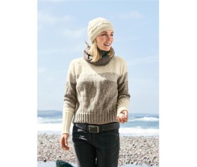 E-MODELE FEMME - PULL COL ROND VERSION CHINÉE EN CAMAÏEU - BERGÈRE DE FRANCE
