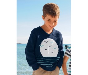 E-MODELE GARÇON - PULL COL V SERGIO - BERGÈRE DE FRANCE