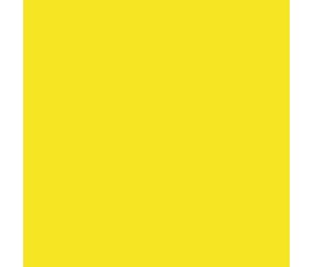 Teinture textile Rit Dye All-Purpose liquide - 236 ml - Jaune Citron - nuance obtenue