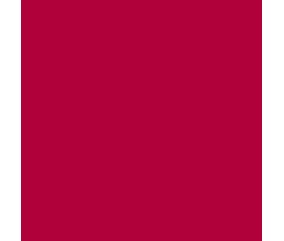 Teinture textile Rit Dye All-Purpose liquide - 236 ml - Bordeaux - nuance obtenue