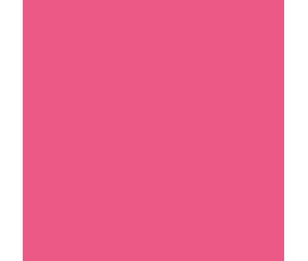 Teinture textile Rit Dye All-Purpose liquide - 236 ml - Fuchsia - nuance obtenue