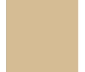 Teinture textile Rit Dye All-Purpose liquide - 236 ml - Tan - nuance obtenue