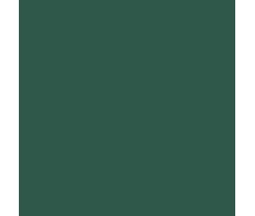 Teinture textile Rit Dye All-Purpose liquide - 236 ml - Vert Foncé - nuance obtenue