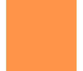 Teinture textile Rit Dye All-Purpose liquide - 236 ml - Tangerine - nuance obtenue