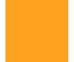 Teinture textile Rit Dye All-Purpose liquide - 236 ml - Orange Soleil - nuance obtenue