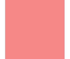 Teinture textile Rit Dye All-Purpose liquide - 236 ml - Corail - nuance obtenue