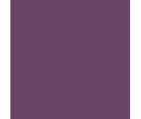 Teinture textile Rit Dye All-Purpose liquide - 236 ml - Aubergine - nuance obtenue