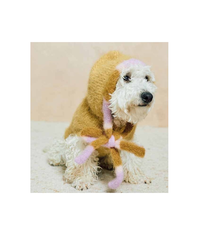 Manteau pour chien Billie - Patron tricot Phildar - modèle porté