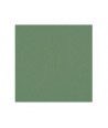Vert (vert de gris)