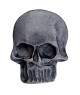 Bouton Tête de mort à queue 30mm - Prym