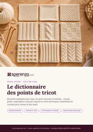 Couverture du PDF Dictionnaire des points de tricot Sperenza