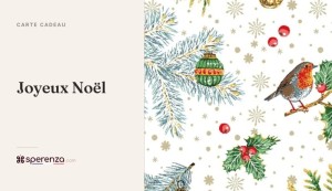 
			                        			Joyeux Noël