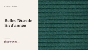 
			                        			Belles fêtes de fin d’année