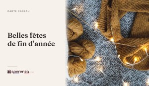 
			                        			Belles fêtes de fin d’année (ambiance)